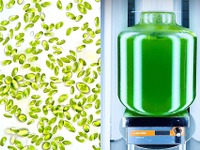 デンソーが開発に参画、微細藻類「コッコミクサKJ」使用のサプリメント展示へ…FOOD STYLE JAPAN九州 画像