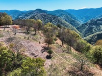 マウンテンバイクで地方創生、ヤマハ発動機らMTB活用社会推進連絡協議会を設立 画像