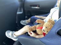 情報には、人の人生を変える力がある。「安全」を発信するということ【岩貞るみこの人道車医】 画像