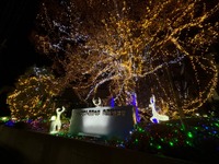 三菱自動車が協力、電動車の給電でイルミネーション点灯へ…京都外大で12月17-19日 画像