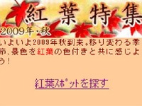 いつもNAVIで紅葉特集 画像