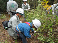 ジャパンエナジー、岡山県高梁市で森林ボランティア実施 画像