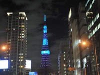 ブルーライトアップ…世界糖尿病デー 画像