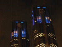 東京都庁ライトアップ、世界糖尿病デーに間に合わず 画像