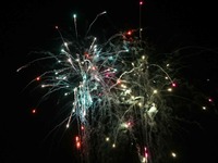 大晦日の総決算:車放火1137台、花火負傷509人、実弾も 画像