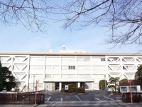 大型トラックの無謀運転、懲役6年の実刑を命じる 画像