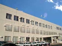 黙秘する女…検問突破、信号無視、出会い頭衝突 画像