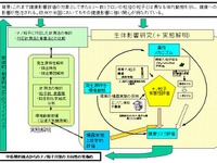 ナノ粒子の生体影響を調査---自工会と国立環境研究所 画像
