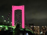 首都高が今年もピンクリボンを応援 画像