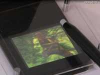 【CEATEC 10】触れる3D技術、体験も 画像