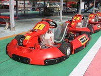 ルノージャポン、チャリティカートレースを開催…ペトロフ、本山哲も参戦！ 画像