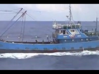 ［尖閣ビデオ流出］中国漁船と巡視船の衝突［動画］ 画像