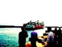 買物のおばちゃん、釣りのおっちゃんを守れ　たこフェリー再開求め署名 画像