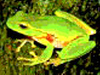 就職は根性で、コミュニケーション力も大事だが… 画像