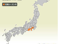 花粉シーズン突入…東京、神奈川、静岡 画像