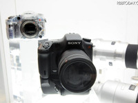 ソニー、新型中級カメラを年内発売予定 画像