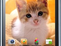 Androidスマートフォン GALAXY S に新色 画像