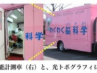 英語の理解はまず音から…小学生の脳活動を調査 画像