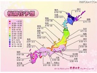 桜開花、鹿児島と高知で3月21日…ウェザーニューズ予想 画像