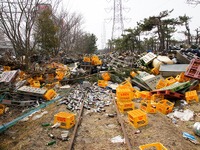 【東日本大震災】電柱は海から陸の方向へ倒れていた 画像