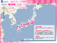 桜の開花状況をリアルタイムでマップ化　ウェザーニューズ 画像