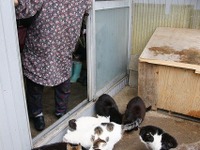 【東日本大震災】被災地の証言…田代島 あんな揺れは生まれて初めて 画像