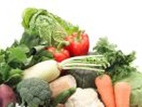 東北・関東地方の野菜を食べるイベント…4月7・14日 画像