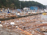 【東日本大震災】被災地の証言…田代島 電柱の一番上で津波に耐えた 画像