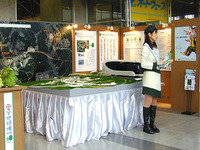 【東京ショー2003速報】こんなところにブースが!---愛知博 画像