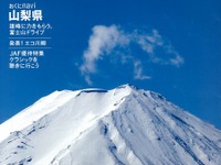 夫は感動、妻は悲鳴---電動アシスト自転車 画像