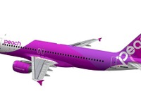 ピーチが飛ぶ！ 全日空系の格安航空会社がブランド名決定 画像