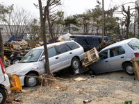エース損保、車両地震保険の新規引き受けを再開 画像