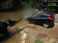 フォード、中期経営計画発表…世界販売は800万台へ 画像