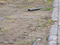 被災車リサイクル料、手続き簡略化で早期復興へ 画像
