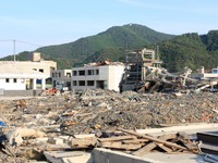 東日本大震災の復興状況を阪神大震災と比較…帝国データバンク 画像