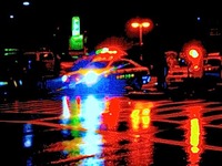 壊れたラジエーターがひき逃げ容疑者を教える 画像