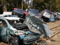 東京海上日動、地震などによる車両全損時の一時金特約を開発 画像