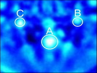 3D写真が見やすくなった 画像