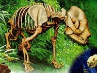 クロマデプス3Dを使ったダブルユース図鑑 画像