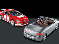 【WRC】プジョー『307WRC』デビュー戦……CC使う? 画像