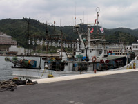 震災関連倒産、7月に初めて前月を下回る　東京商工リサーチ 画像