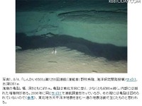 東日本大震災の震源域海底にもぐる 画像