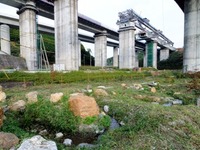 新東名の的場高架橋、ホタルを守って竣工 画像