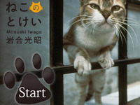 ネコたちが時刻をお知らせ 画像