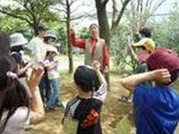 臨海都心で野生生物たんけん　10月8-9日 画像