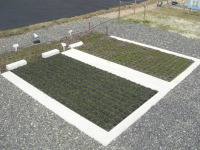 トヨタ、駐車場緑化商品と壁面緑化商品を発売 画像