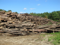 福島原発滞留水　敷地内散布を170日以上続ける 画像