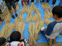 首都高で子ども達が自然体験…GREEN METROPOLIS 画像