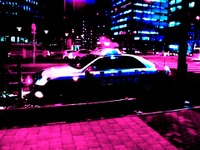 母親の後を追って横断の女児、はねられ死亡 画像