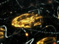 【デトロイトモーターショー12】トヨタ NS4 は プリウスPHV のクーペか［動画］ 画像